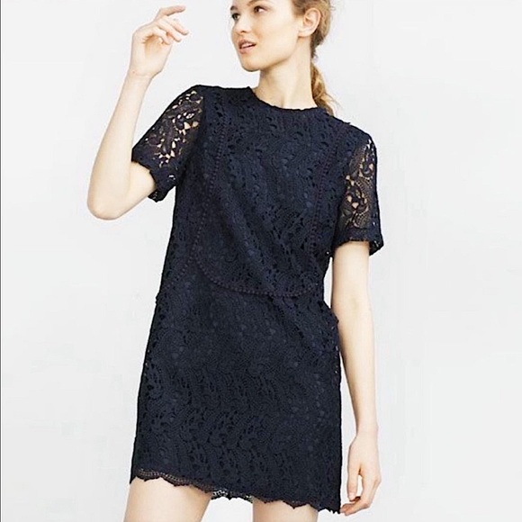 Zara Navy Lace Short Sleeve Dress - Picture 1 of 4